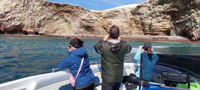 From Paracas: Ballestas Islands & Paracas Natural Reserve - Positive Guest Reviews