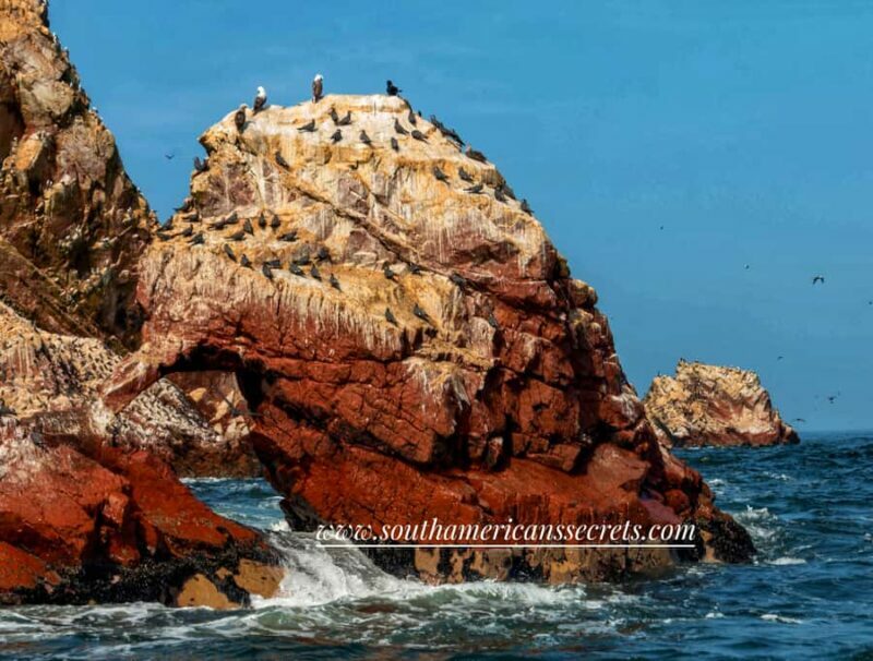 From Paracas: Ballestas Islands tour all Inclusive - What Makes This Tour Stand Out?