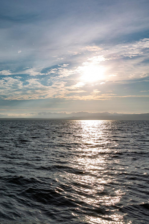 From Paracas: Champagne Bites on Yacht Private Charter - Itinerary and Highlights