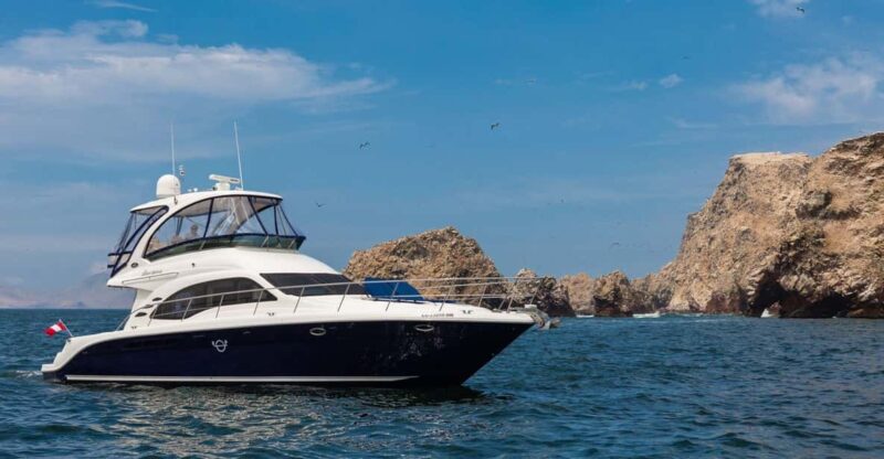 From Paracas: Champagne Bites on Yacht Private Charter - Inclusions