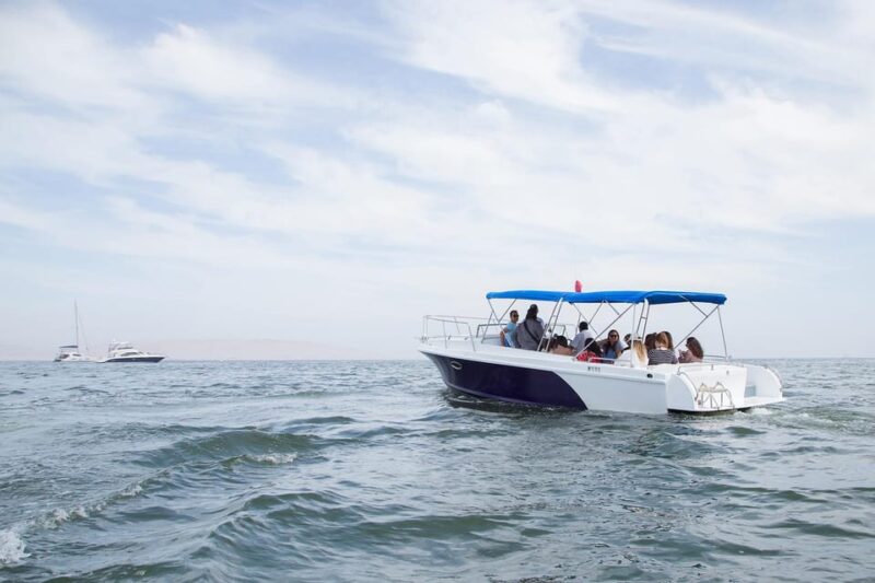 From Paracas: Conch Harvesting in Exclusive Yacht - Pricing and Cancellation