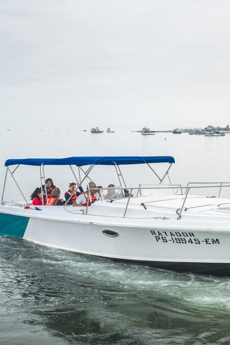 From Paracas: Conch Harvesting in Exclusive Yacht - Onboard Activities and Highlights