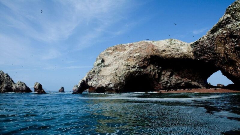 From Paracas || Excursion to the Ballestas Islands ||3 Hours - Itinerary and Experience
