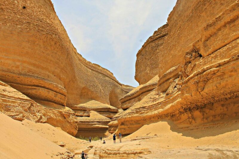 From Paracas/Ica: Canyon of the Lost Guided Day Trip - Inclusions