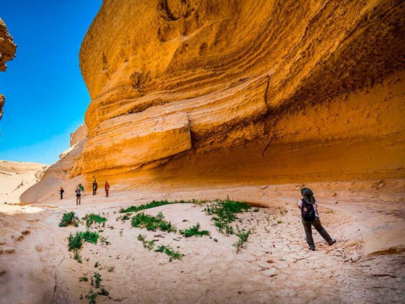 From Paracas/Ica: Canyon of the Lost Guided Day Trip - Pickup and Transportation
