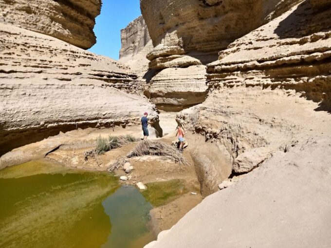 From Paracas/Ica: Canyon of the Lost Guided Day Trip - Exploring the Canyon