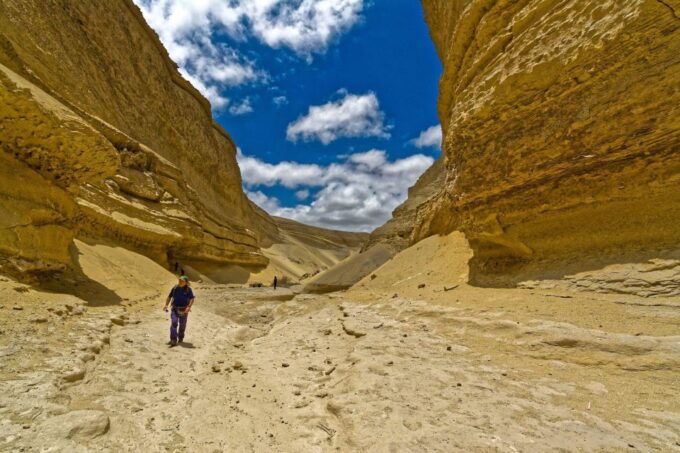 From Paracas/Ica: Canyon of the Lost Guided Day Trip - Local Crows and Geology