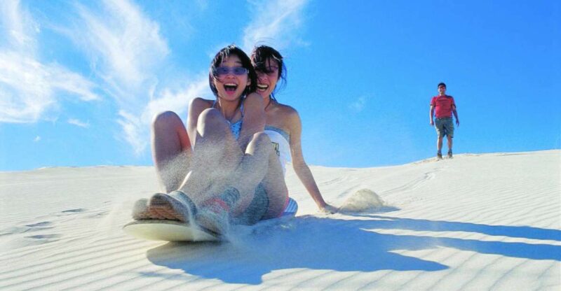From Paracas: Mini Buggy Tour & Sandboarding at Oasis - Key Points