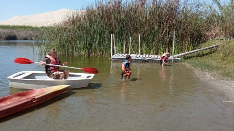 From Paracas: Mini Buggy Tour & Sandboarding at Oasis - Pricing and Inclusions