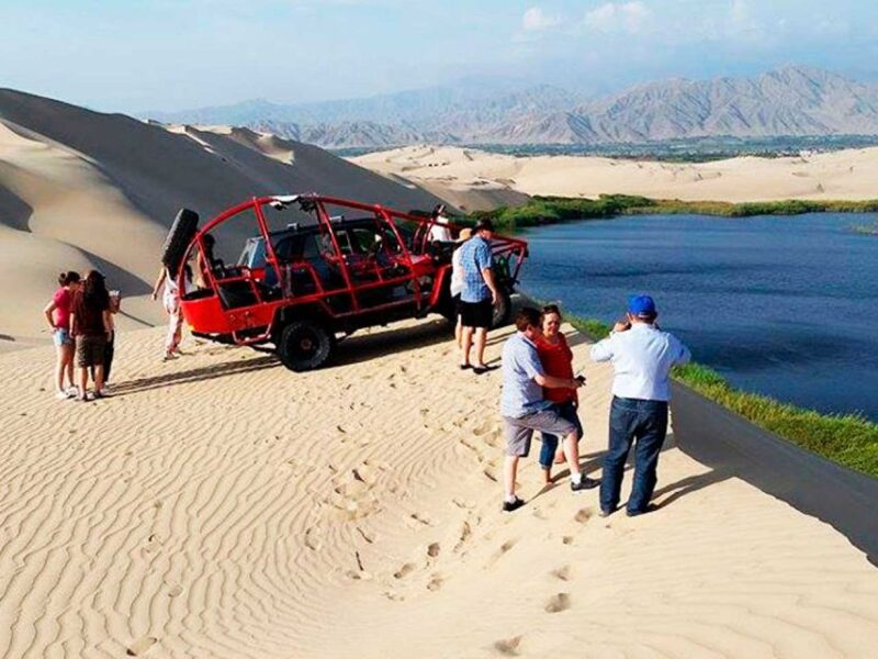 From Paracas: Mini Buggy Tour & Sandboarding at Oasis - Accessibility and Suitability