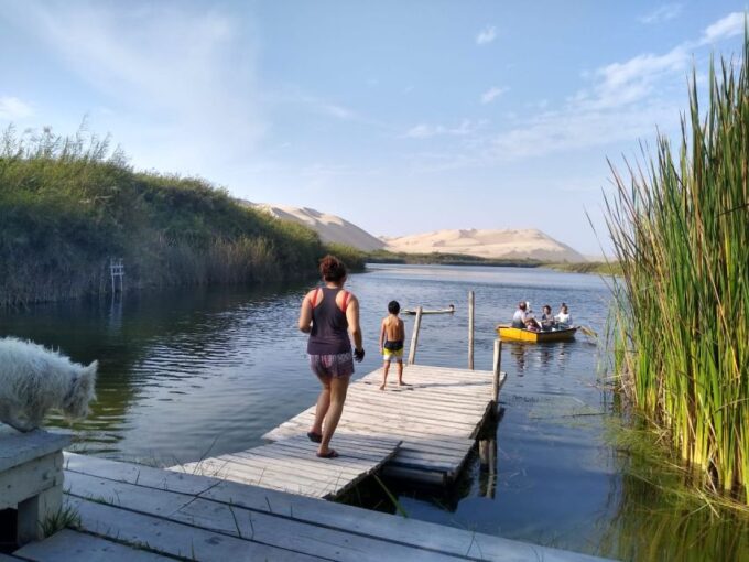 From Paracas: Mini Buggy Tour & Sandboarding at Oasis - Customer Feedback