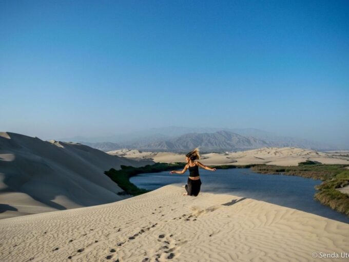 From Paracas: Mini Buggy Tour & Sandboarding at Oasis - Booking and Reservations