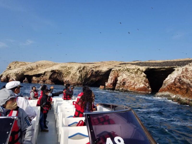 From Paracas or Pisco: Ballestas Islands Private Boat Trip - Key Points