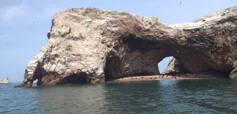 From Paracas or Pisco: Ballestas Islands Private Boat Trip - Tour Details