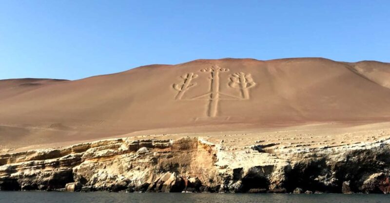 From Paracas or Pisco: Ballestas Islands Private Boat Trip - What to Bring and Restrictions