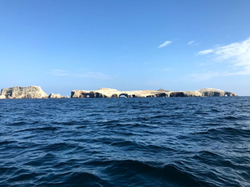 From Paracas or Pisco: Ballestas Islands Private Boat Trip - Customer Feedback