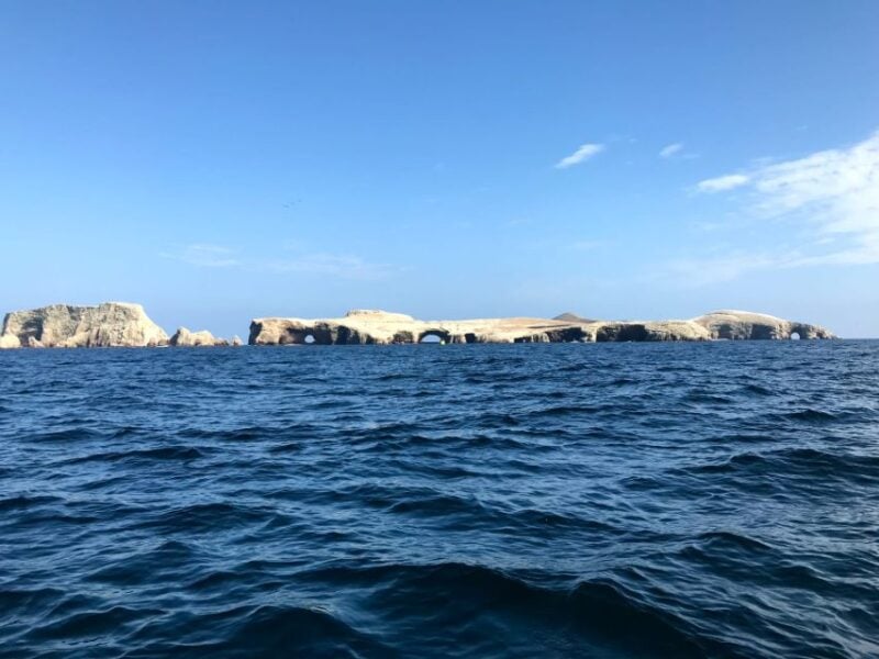 From Paracas or Pisco: Ballestas Islands Private Boat Trip - Contact Information