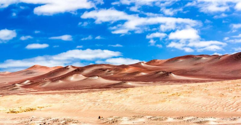 From Paracas: Paracas National Reserve Private Tour - Key Points