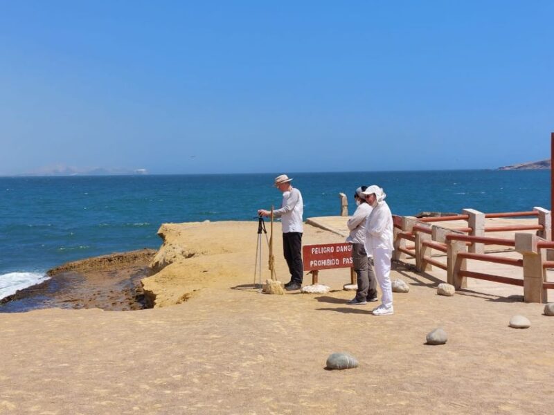 From Paracas: Paracas National Reserve Private Tour - Booking and Cancellation