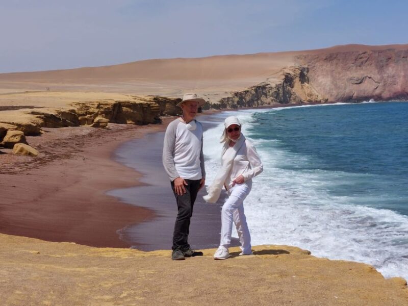 From Paracas: Paracas National Reserve Private Tour - Highlights and Experience