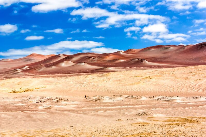 From Paracas: Paracas National Reserve Private Tour - Inclusions and Exclusions