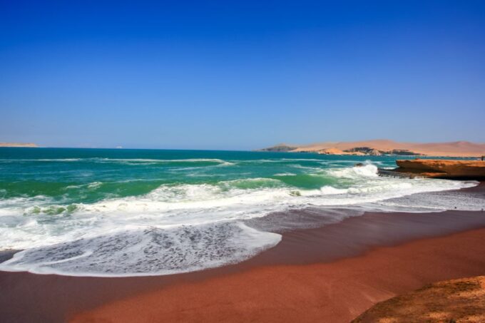From Paracas: Paracas National Reserve Private Tour - Customer Reviews