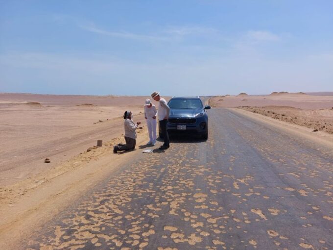 From Paracas: Paracas National Reserve Private Tour - What to Expect on the Tour