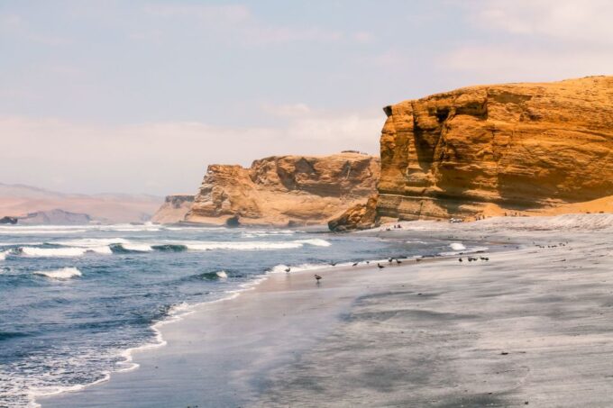 From Paracas: Paracas National Reserve Private Tour - Frequently Asked Questions