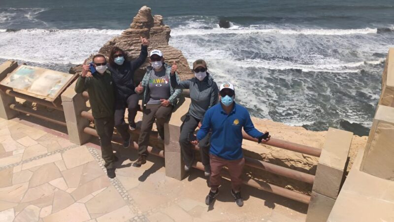 From Paracas: Private Tours Paracas National Reserve - Key Points