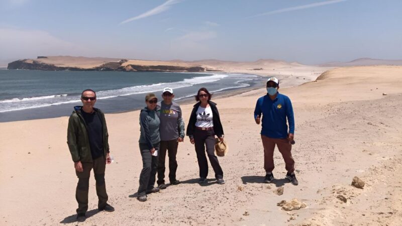 From Paracas: Private Tours Paracas National Reserve - Wildlife and Biodiversity