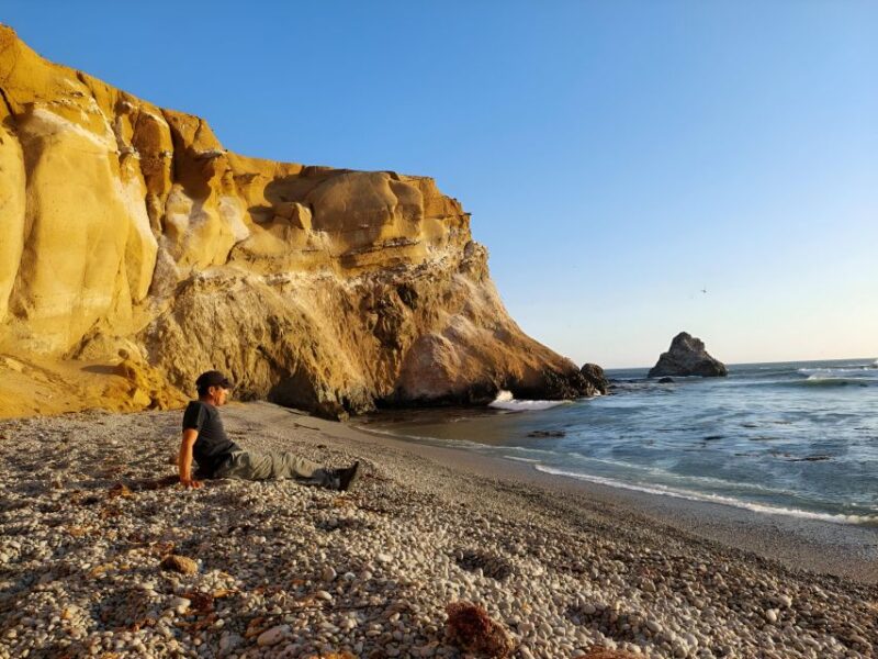 From Paracas: Private Tours Paracas National Reserve - Environmental Importance