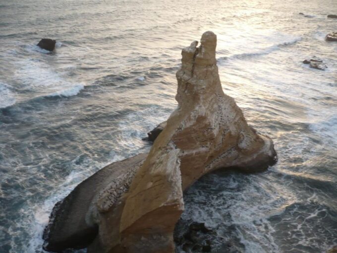 From Paracas: Private Tours Paracas National Reserve - Ecosystem Features