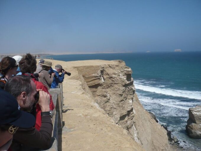 From Paracas: Private Tours Paracas National Reserve - Participant Experience