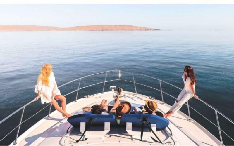 From Paracas: Private Yacht Charter for Half Day - Key Points