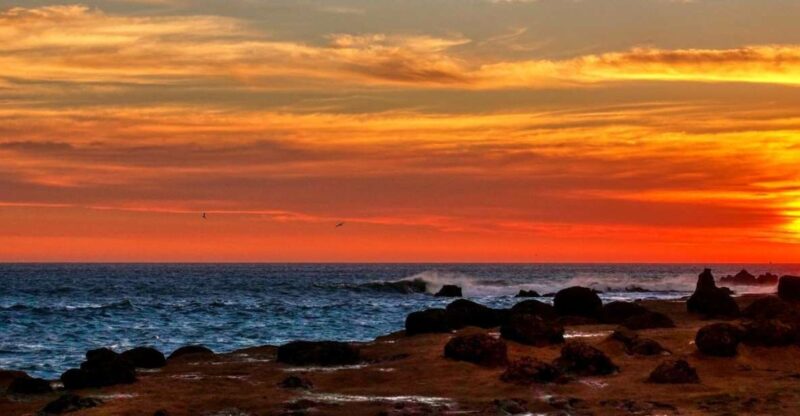From Paracas-Sunset Trekking in the Paracas National Reserve - Itinerary Details