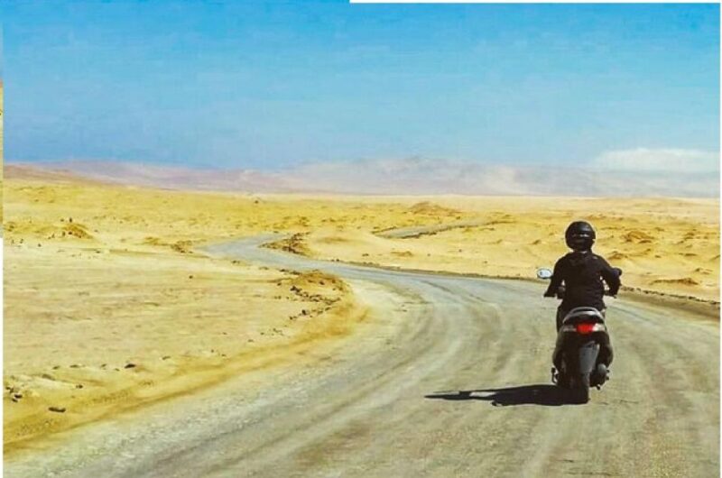 From Paracas: Tour Scootering to Paracas National Reserve - Wildlife Spotting