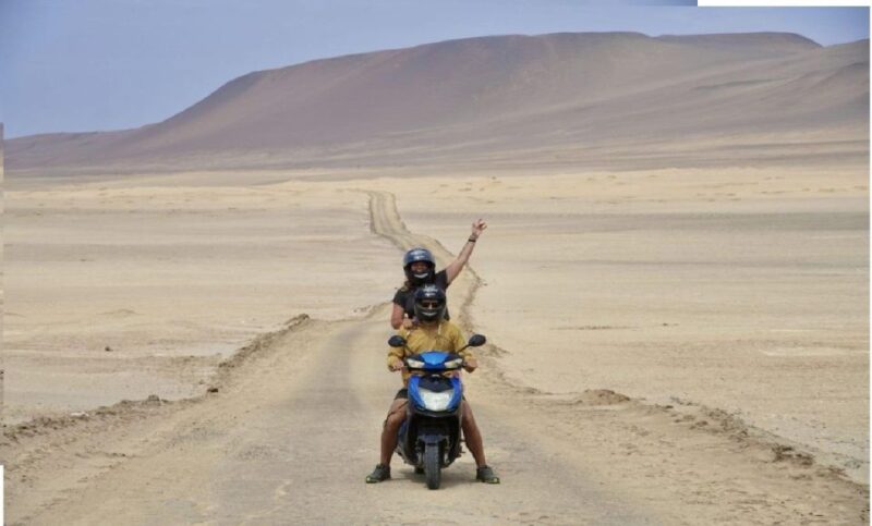 From Paracas: Tour Scootering to Paracas National Reserve - Included Services