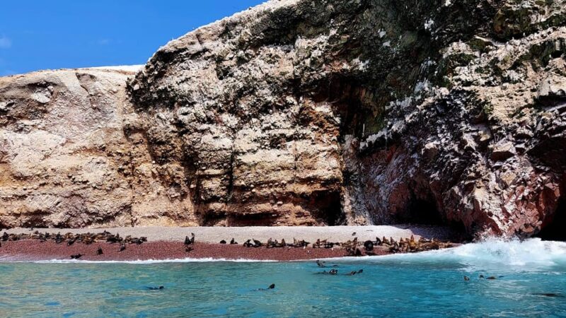 From Paracas: Yacht Tour to Ballestas Islands - Important Information and What to Bring