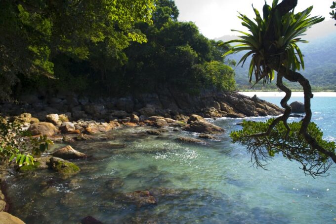 From Paraty: Full Day to Trindade - Nature and Sea - Frequently Asked Questions
