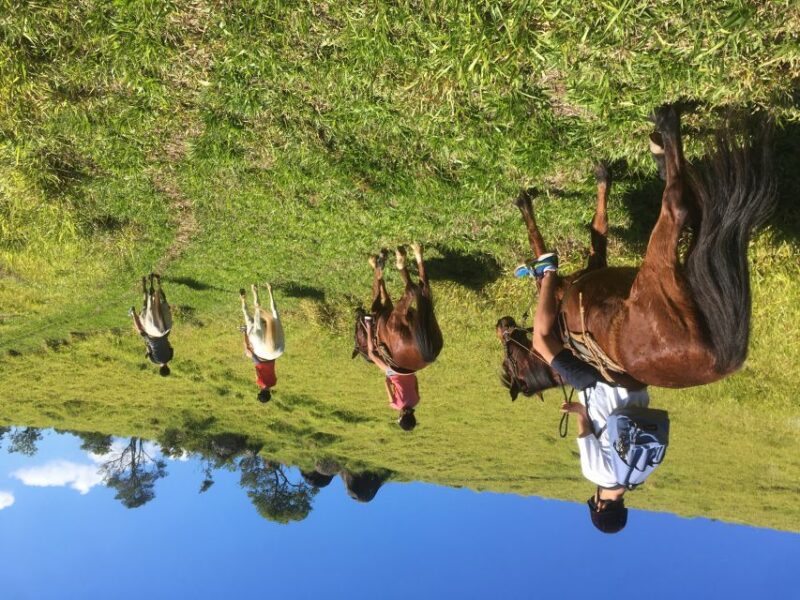 From Paraty: Private Horse-Riding Experience, Picnic, Driver - Picnic on Belvedere