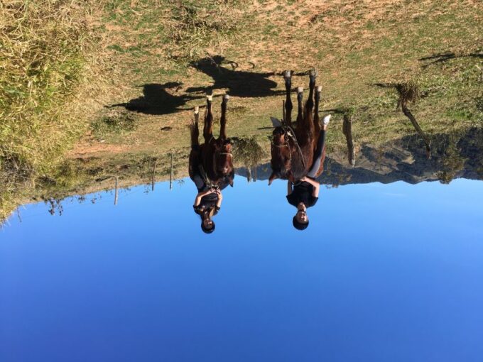 From Paraty: Private Horse-Riding Experience, Picnic, Driver - Important Information to Note