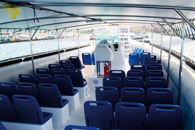 From Paraty: Shared Transfer to Ilha Grande - Accessibility and Transportation