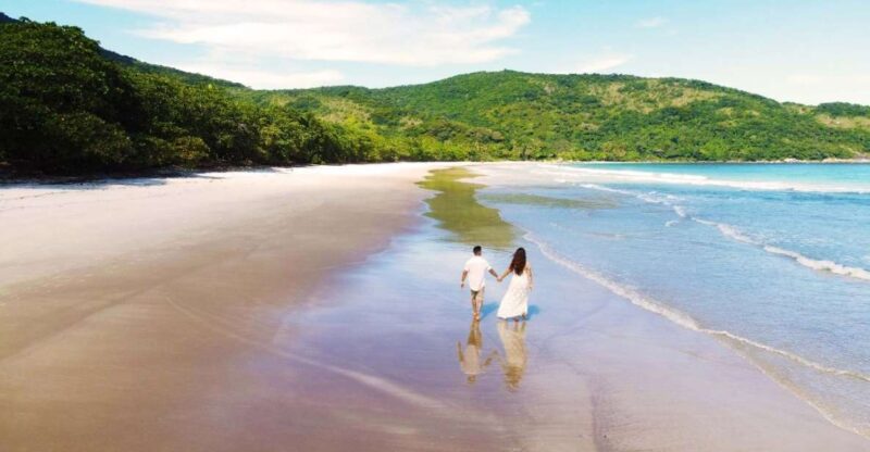 From Paraty: Shared Transfer to Vila Do Abraão - Key Points