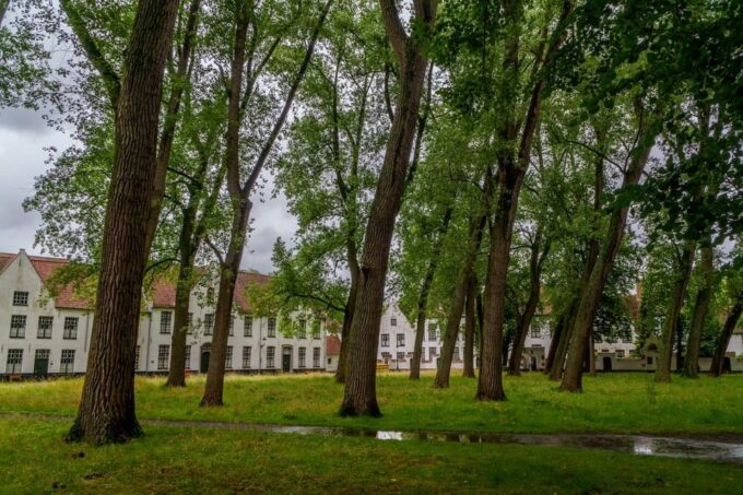 From Paris: Bruges and Ghent Private Day Trip in Flanders - Important Information