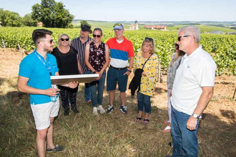 From Paris: Burgundy Region Winery Tour With Tastings - Key Points