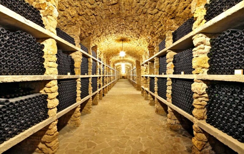 From Paris: Burgundy Region Winery Tour With Tastings - Visit Family-Run Wineries