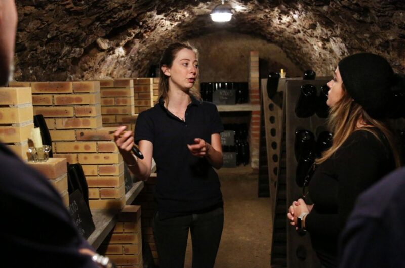 From Paris: Champagne Day Trip With 7 Tastings and Lunch - Tastings and Local Drink