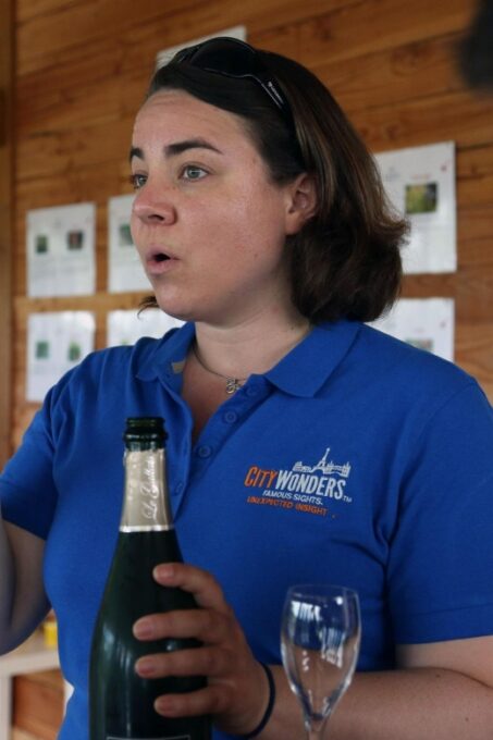 From Paris: Champagne Day Trip With 7 Tastings and Lunch - Small Group Experience