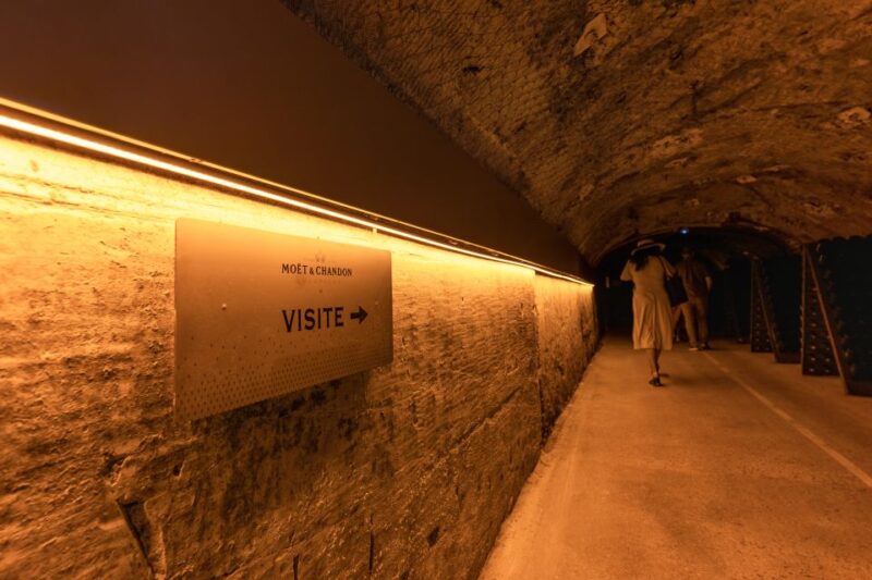 From Paris: Day Trip to Champagne With 8 Tastings & Lunch - Champagne House and Winery Visits