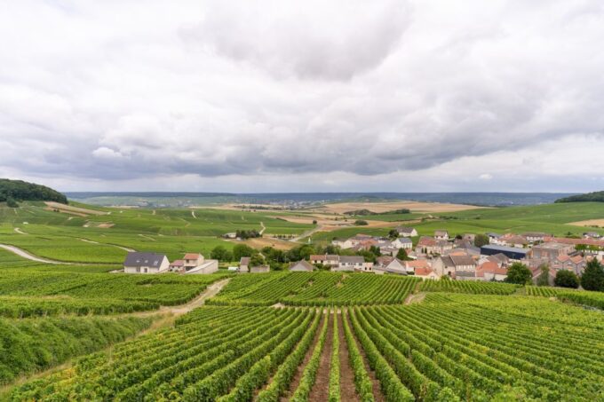 From Paris: Day Trip to Champagne With 8 Tastings & Lunch - Frequently Asked Questions
